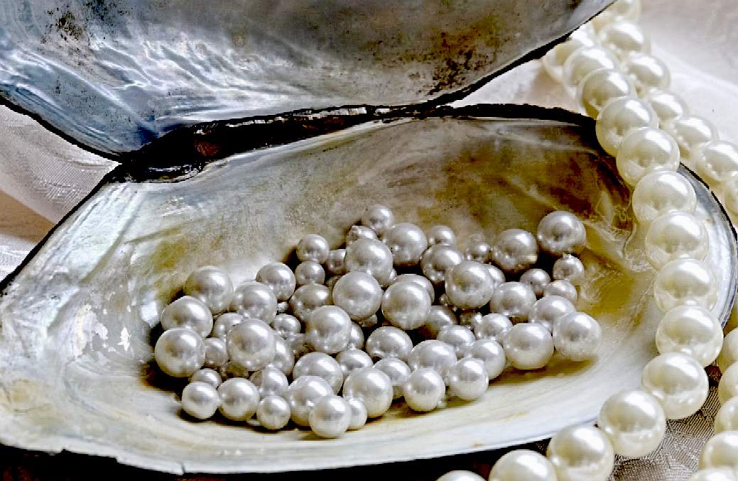 Pearls in an Oyster shell